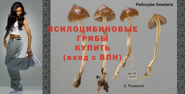 не бодяженный Мегион