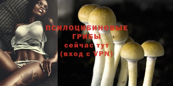 прущая мука Медногорск