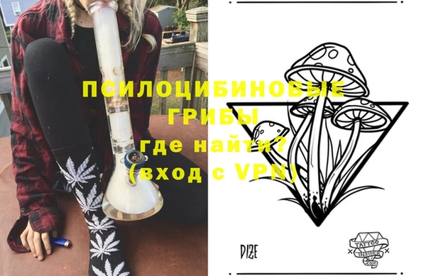 гашик Михайлов