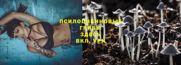 крисы Михайловка